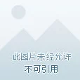 《金铲铲之战》黑暗吸血鬼节杖适配英雄深度解析与策略