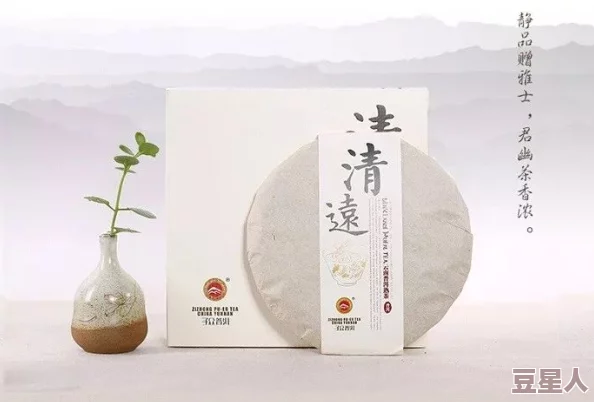 深度解析新月同行龙井茶韵，卡带搭配精选推荐指南