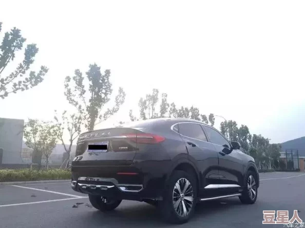 深度解析黑暗骑士手游职业选择攻略，哪个职业更胜一筹？