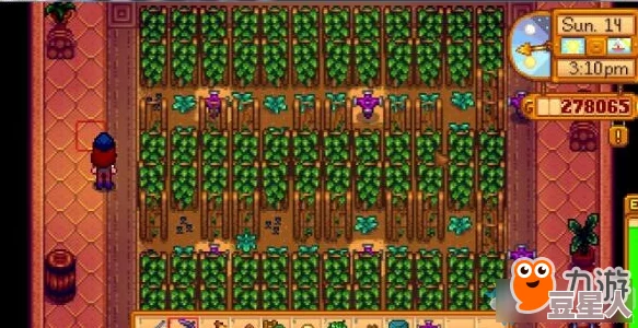 星露谷物语中洋蓟的获取途径与种植养护深度解析