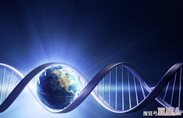 地球末日生存：深度解析门垫的多重效用与制作攻略