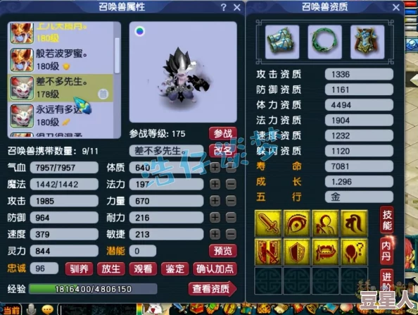 深度解析梦幻西游175级神木林帮战装备选择与搭配策略