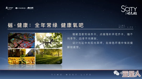 王依在潮人篮球中表现如何？全面解析她的技能和特点