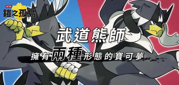 武道熊师连击流怎么玩才能打出高爆发？