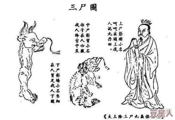 暖雪不同职业流派中，三川苦寒菩萨的伤害计算方式有何异同？