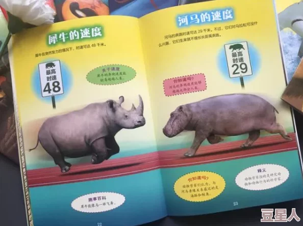 如何高效利用《河马剧场》赚取金币？