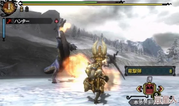 3ds怪物猎人弓箭风格选择：哪种更适合我？