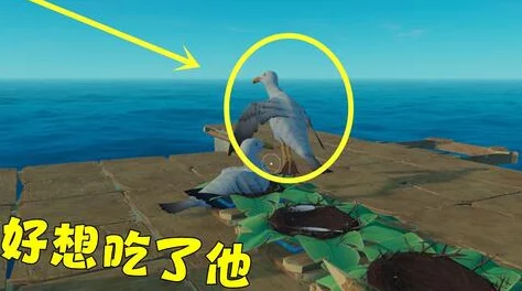 木筏求生4无尽之海岛屿上有哪些怪物？会掉落什么物品？