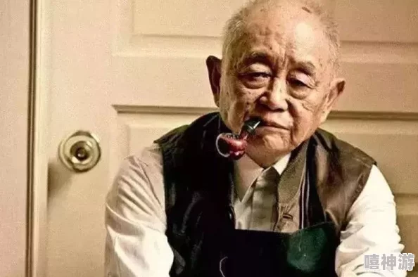 国产河南老头多毛gay老年男，展现独特魅力与生活态度，引发社会对老年群体的关注与讨论